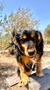 TEO Imagen 1